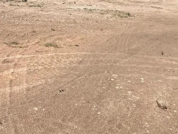 Terreno en Moralet photo 3