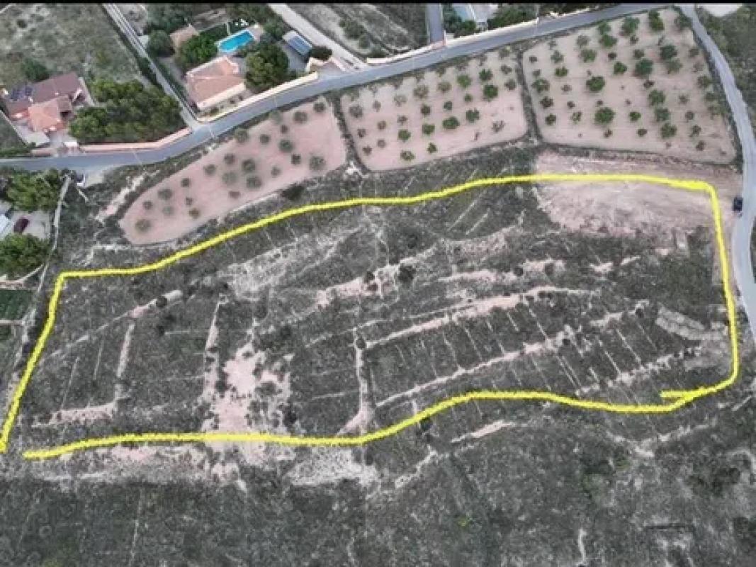 Terreno en venta en Moralet, Alicante photo 5