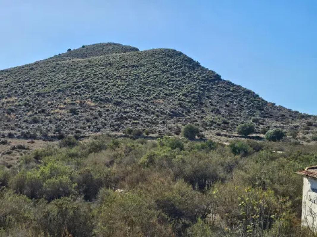 Land for sale in Monforte del Cid, Alicante photo 2