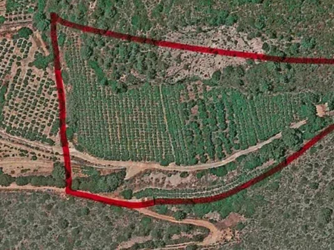 Terreno en venta en Pego, Alicante photo 1