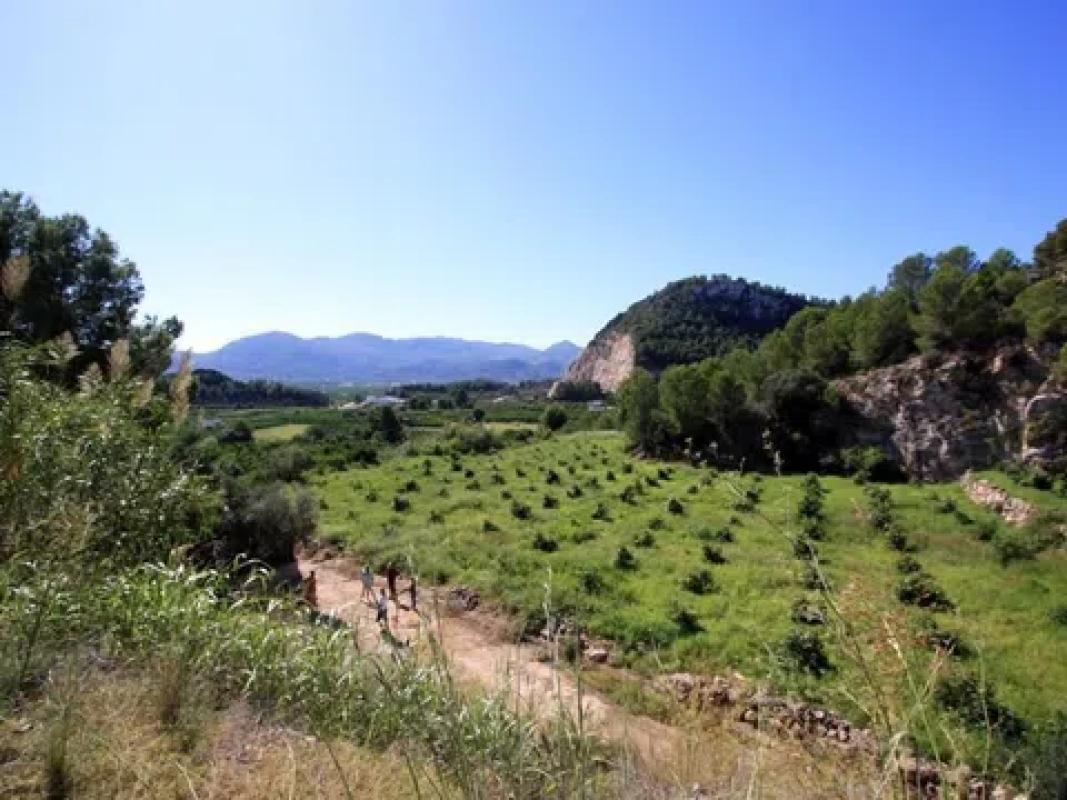 Terreno en venta en Pego, Alicante photo 2