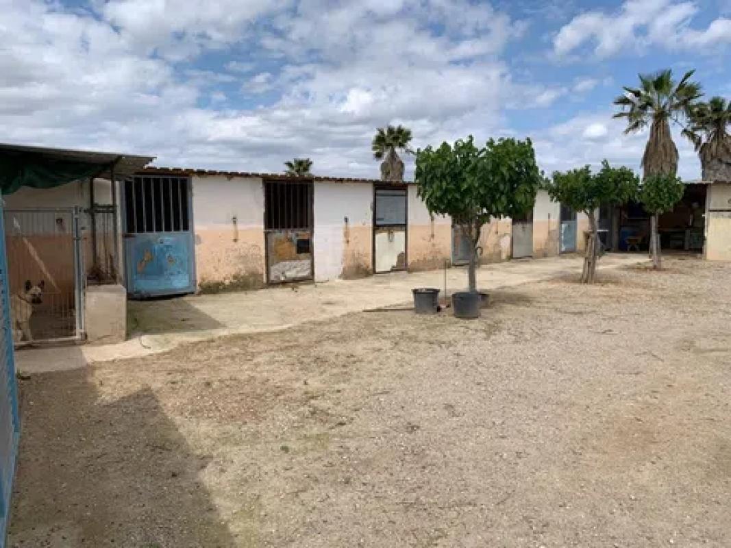 Land for sale in Monforte del Cid, Alicante photo 2