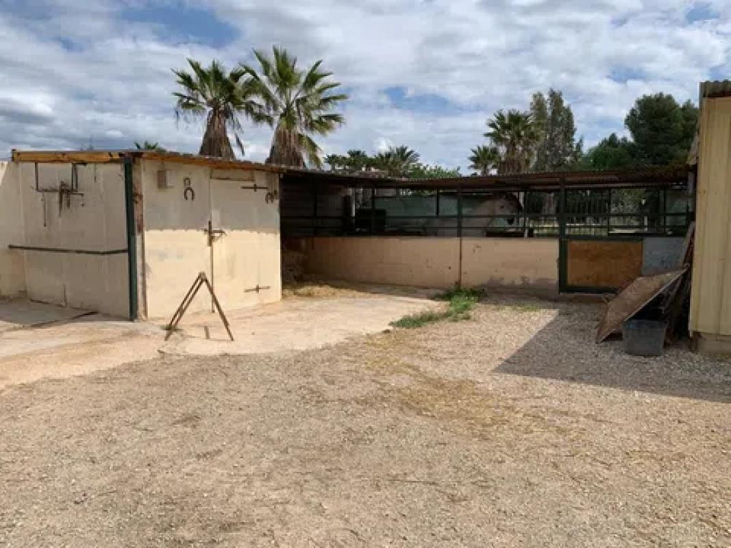Land for sale in Monforte del Cid, Alicante photo 3