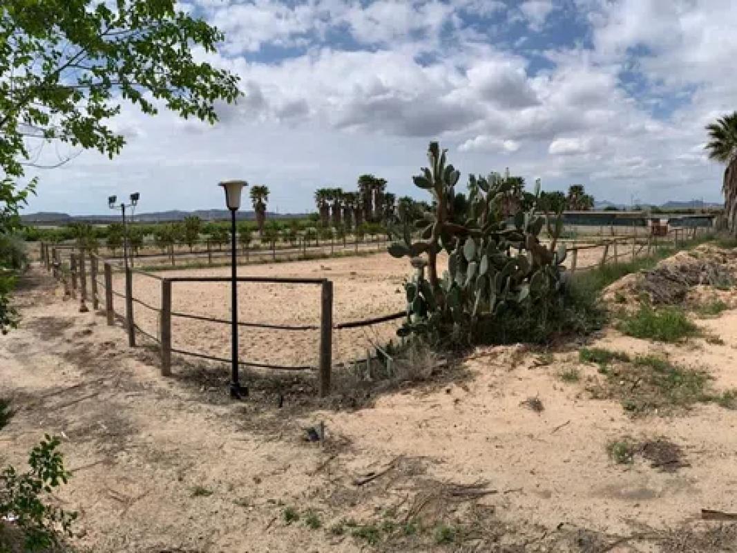 Land for sale in Monforte del Cid, Alicante photo 4