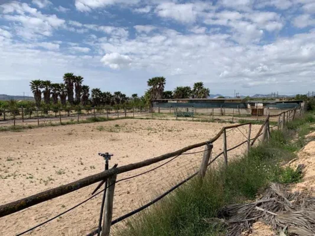 Land for sale in Monforte del Cid, Alicante photo 5