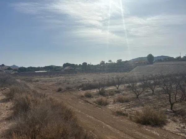 Terreno en Monovar photo 3