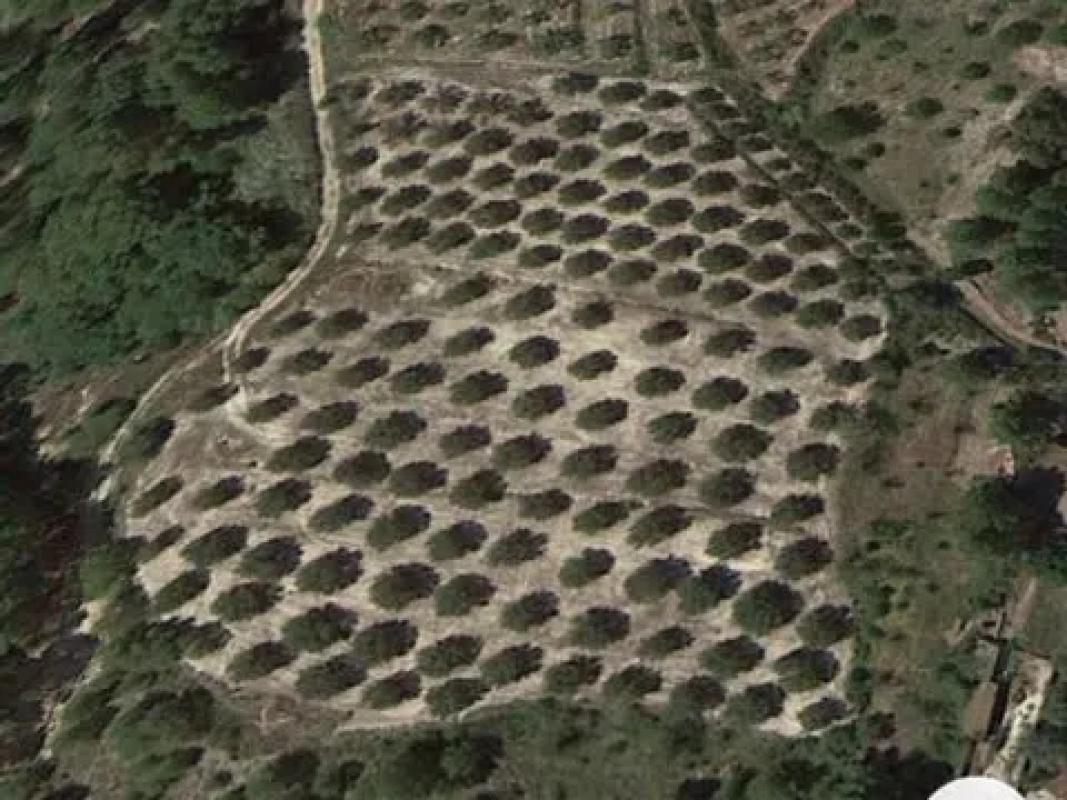 Terreno en venta en Planes, Alicante photo 2