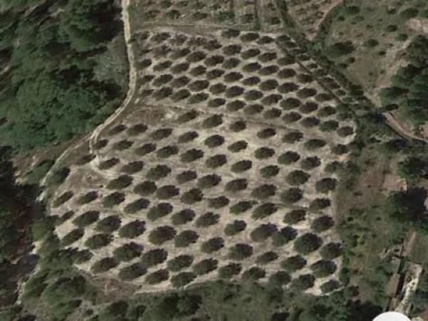 Terreno en Planes photo 2