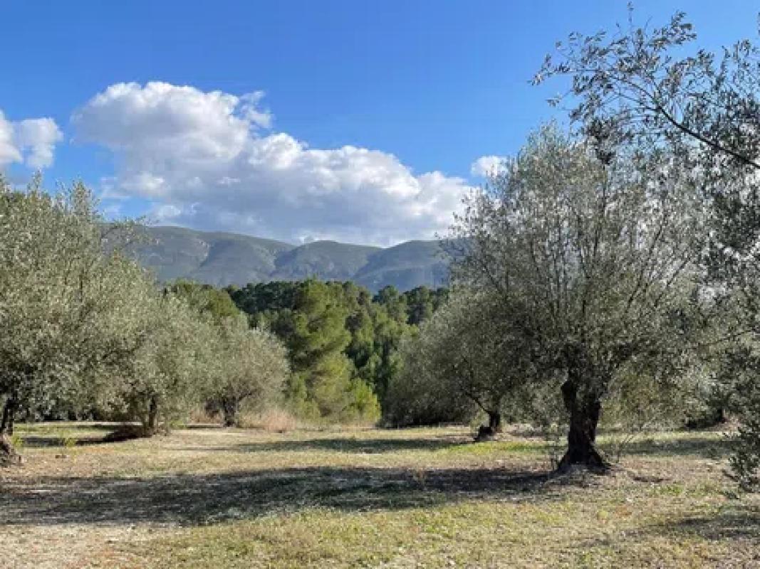 Terreno en venta en Planes, Alicante photo 3