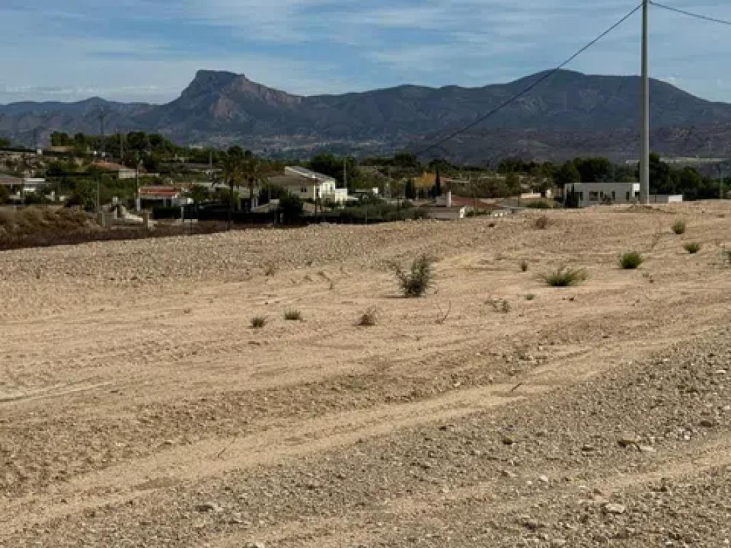 Land for sale in Monovar, Alicante photo 3