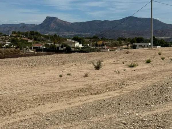 Terreno en Monovar photo 3