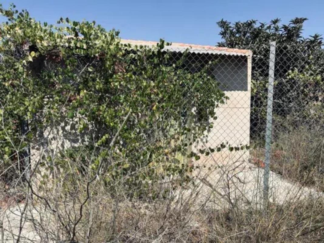 Участок земли на продажу в Ла Романа, Аликанте photo 5