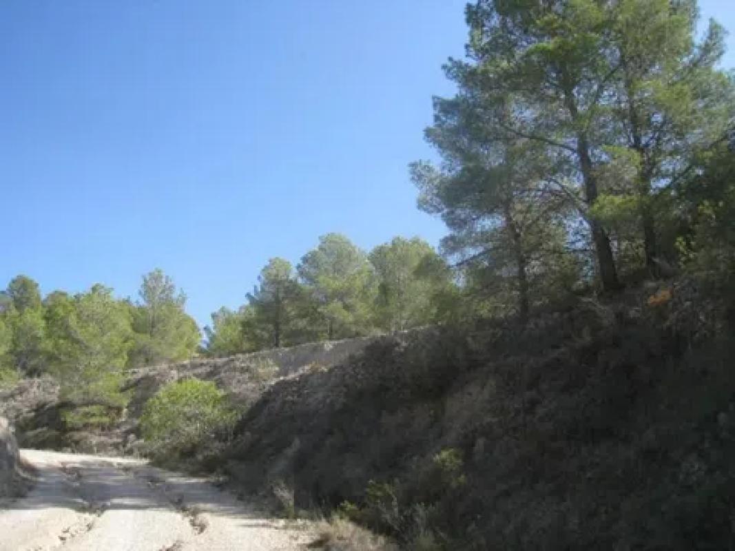 Terreno en venta en Finestrat, Alicante photo 3