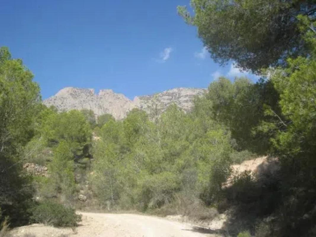 Terreno en venta en Finestrat, Alicante photo 4
