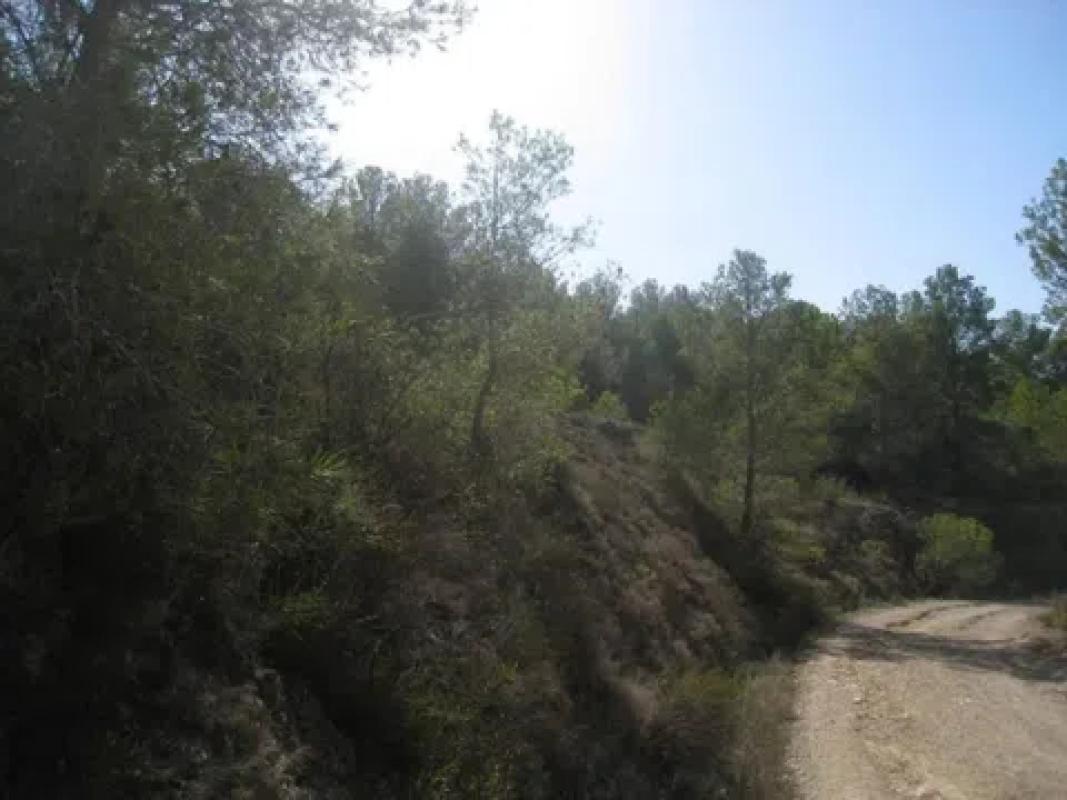 Terreno en venta en Finestrat, Alicante photo 5