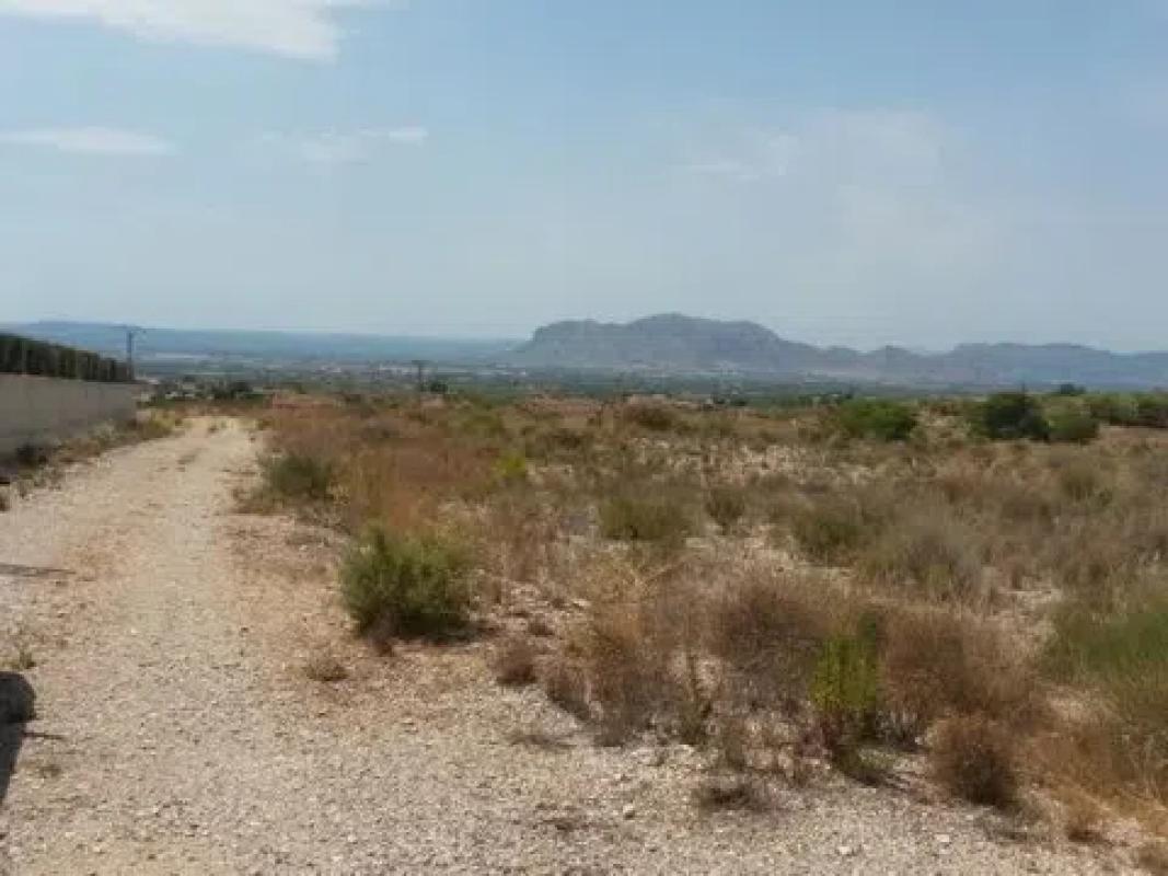 Terreno en venta en Albatera, Alicante photo 1