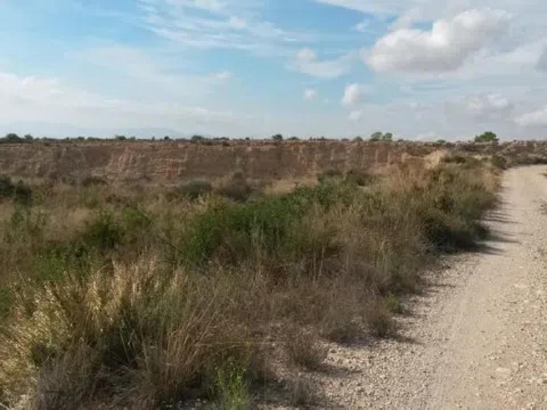 Terreno en venta en Albatera, Alicante photo 2