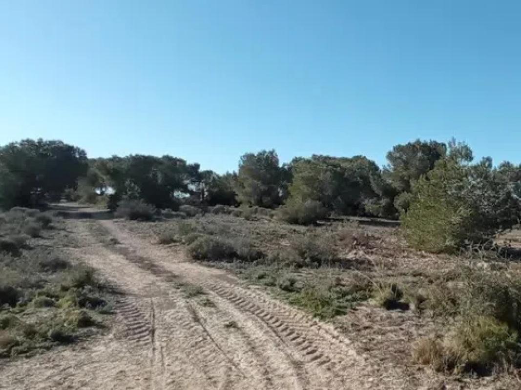 Działka na sprzedaż w Los Montesinos, Alicante photo 2