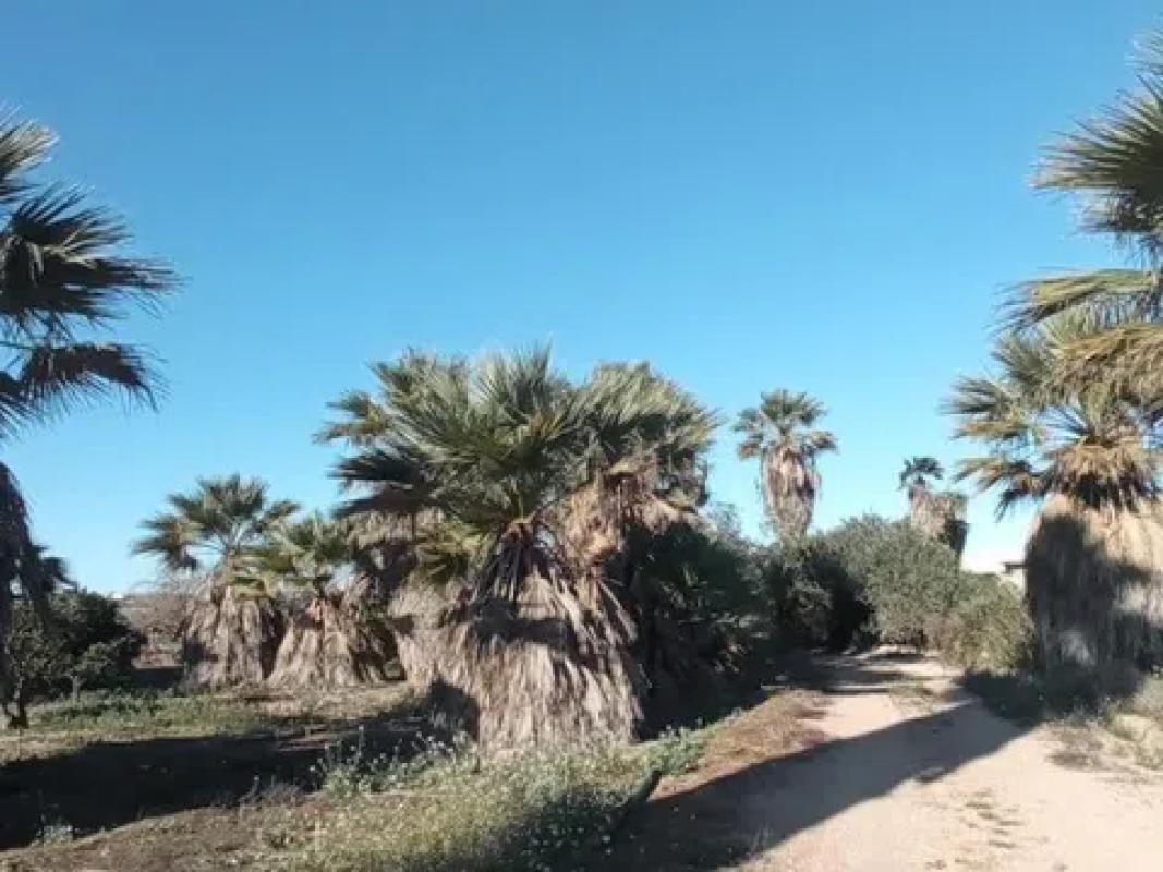 Działka na sprzedaż w Los Montesinos, Alicante photo 5