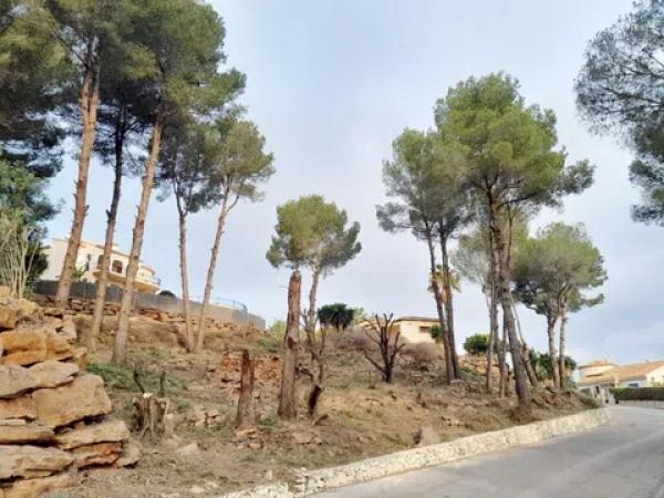 Terreno en calle del Camp del Túria photo 1