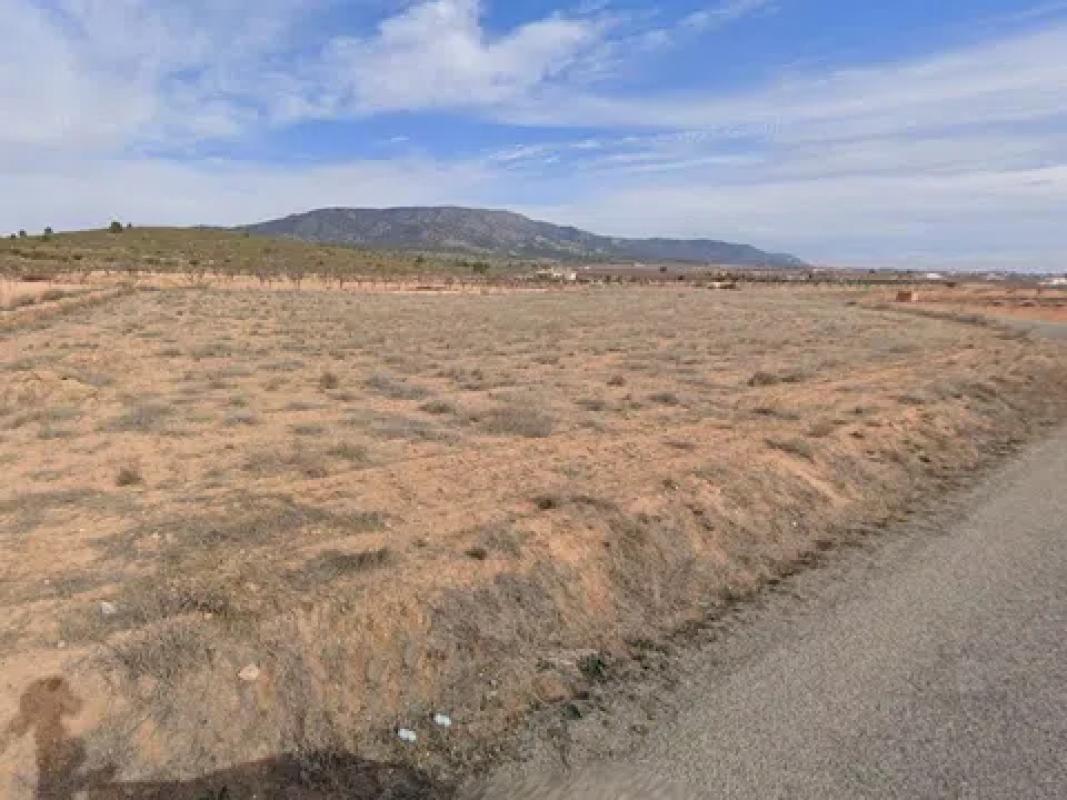 Terreno en venta en Pinoso, Alicante photo 1