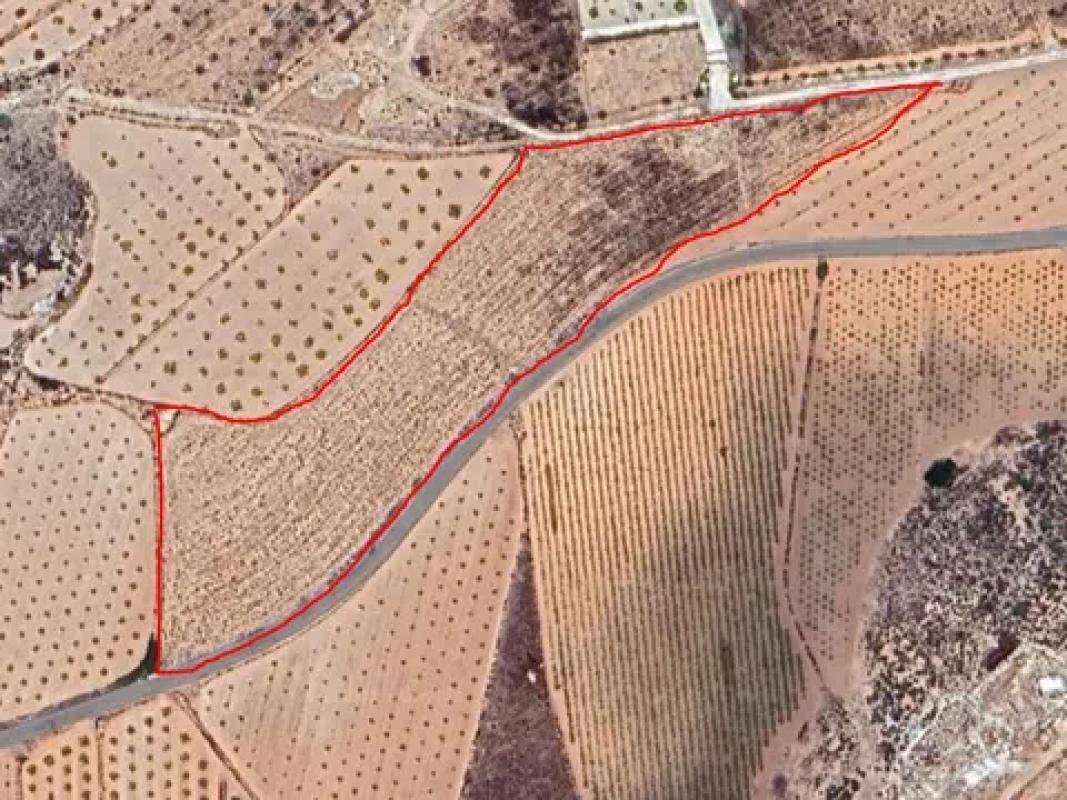 Terreno en venta en Pinoso, Alicante photo 3