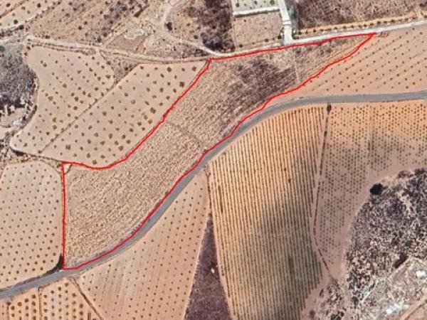 Terreno en via Polígono 32 parcela 63, km 7 thumbnail 2