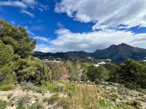 Terreno en Callosa d'En Sarria thumbnail 2