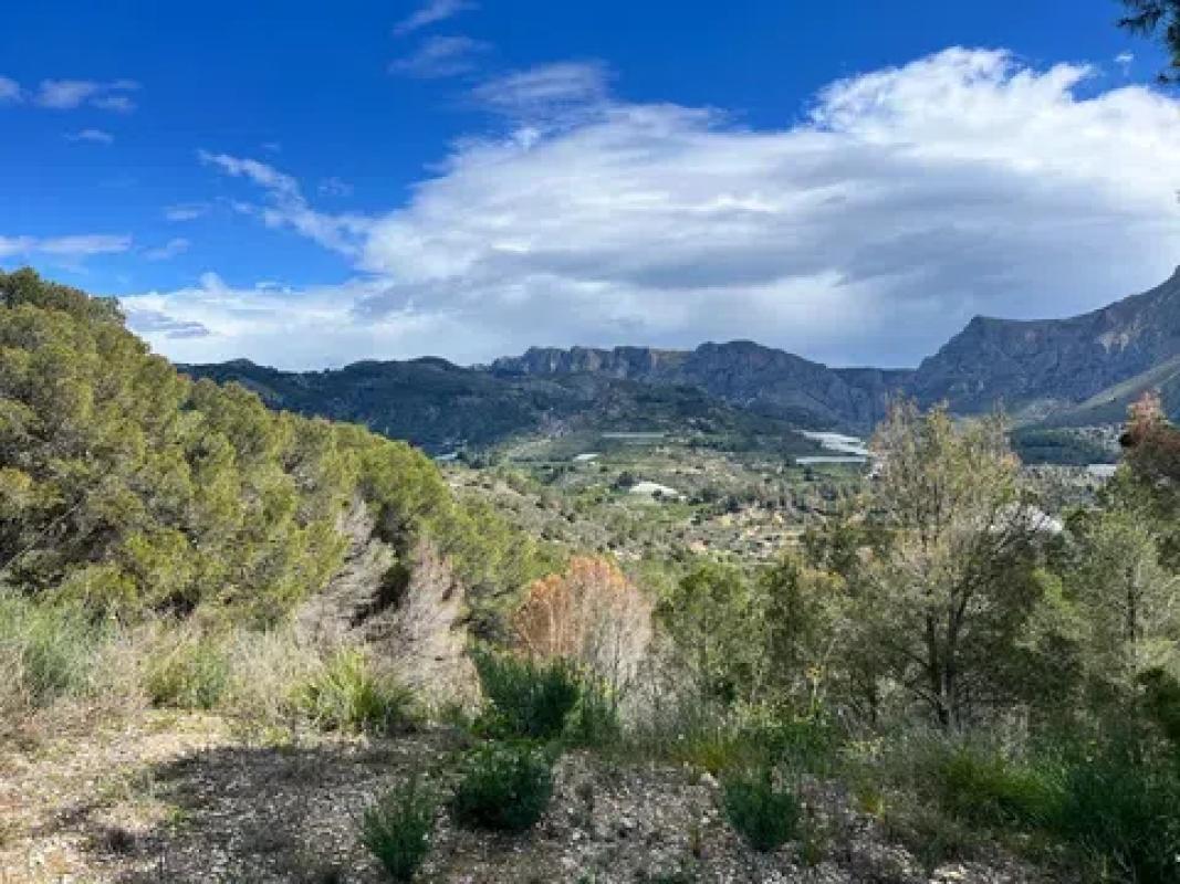 Działka na sprzedaż w Callosa d'En Sarria, Alicante photo 3