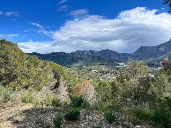 Terreno en Callosa d'En Sarria thumbnail 3