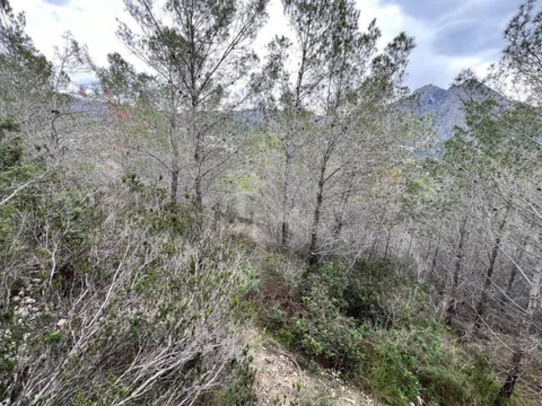 Działka na sprzedaż w Callosa d'En Sarria, Alicante photo 4