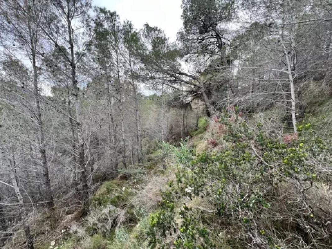 Działka na sprzedaż w Callosa d'En Sarria, Alicante photo 5