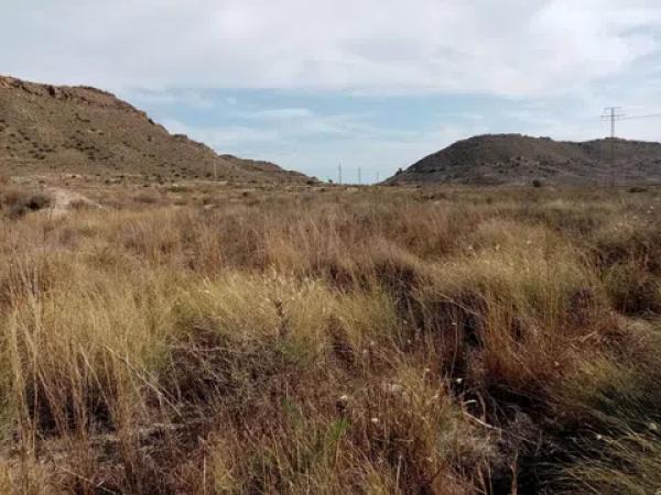 Terreno en Barrio Ciudad de Asís - Font-Calent - El Bacarot photo 2