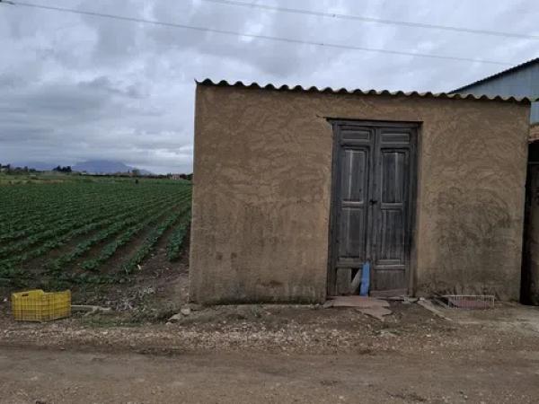 Terreno en Partida lo Pedreño photo 1
