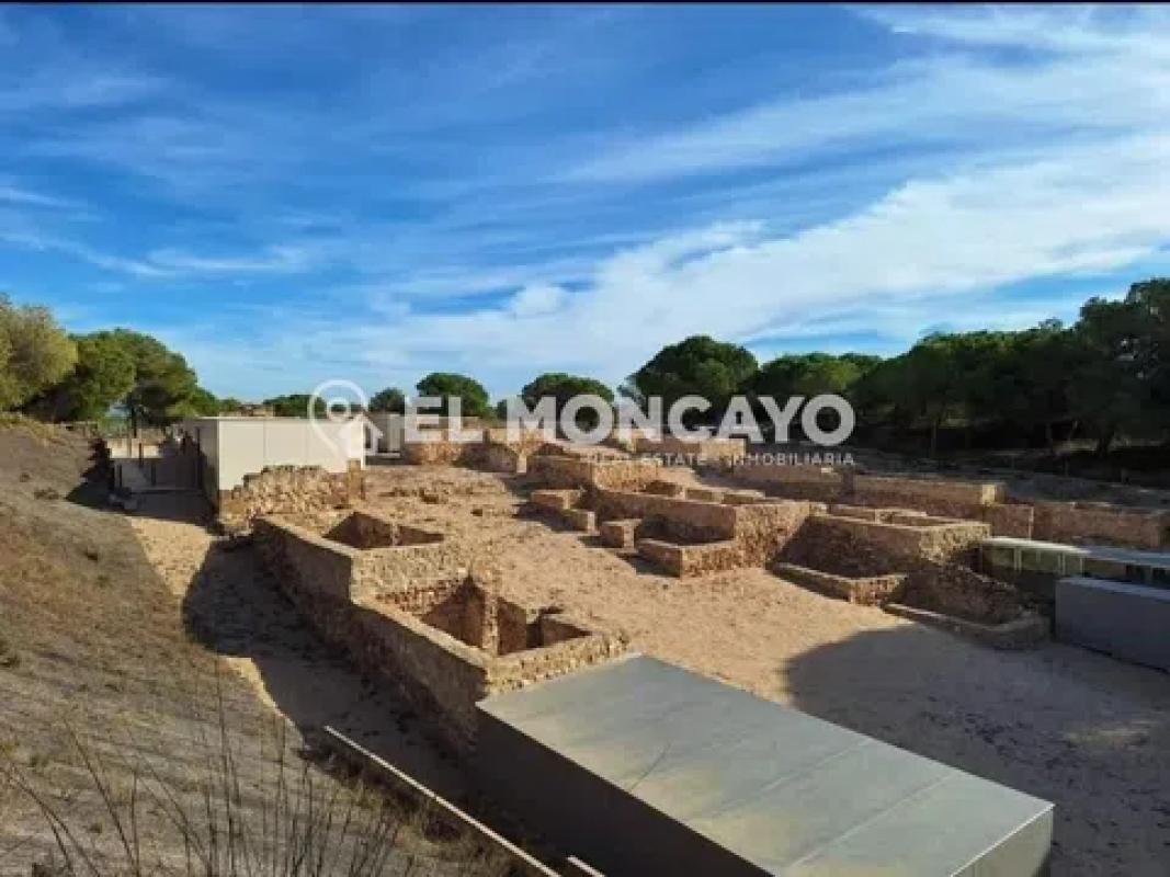Land for sale in Guardamar del Segura, Alicante photo 3