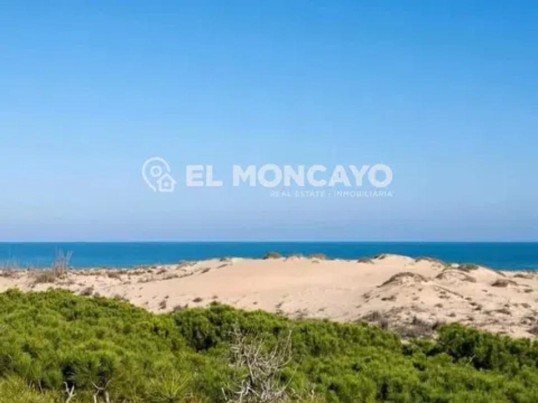 Land for sale in Guardamar del Segura, Alicante photo 5