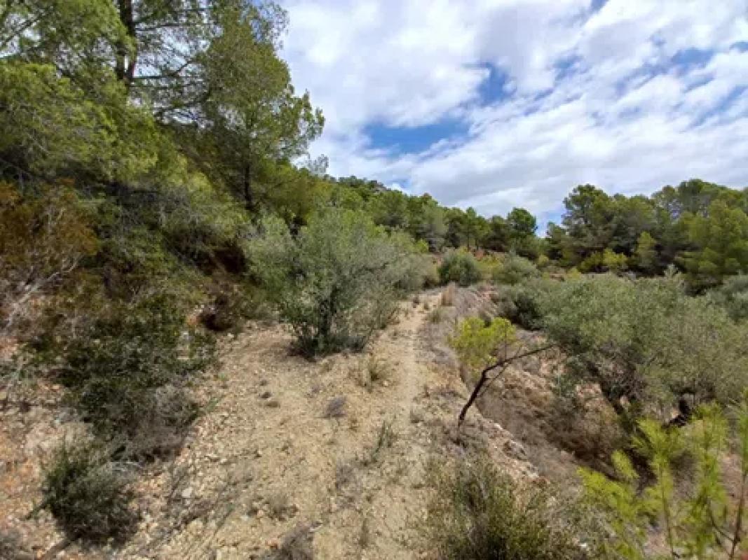 Terreno en venta en Polop, Alicante photo 4