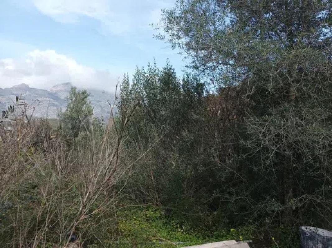 Działka na sprzedaż w La Nucia, Alicante photo 5