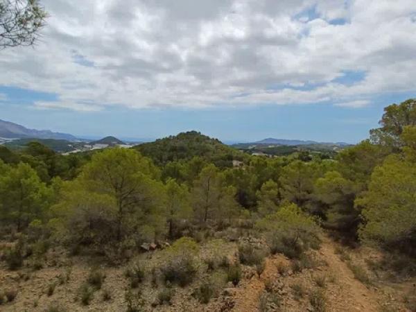 Terreno en Partida Campulles, 14 thumbnail 2