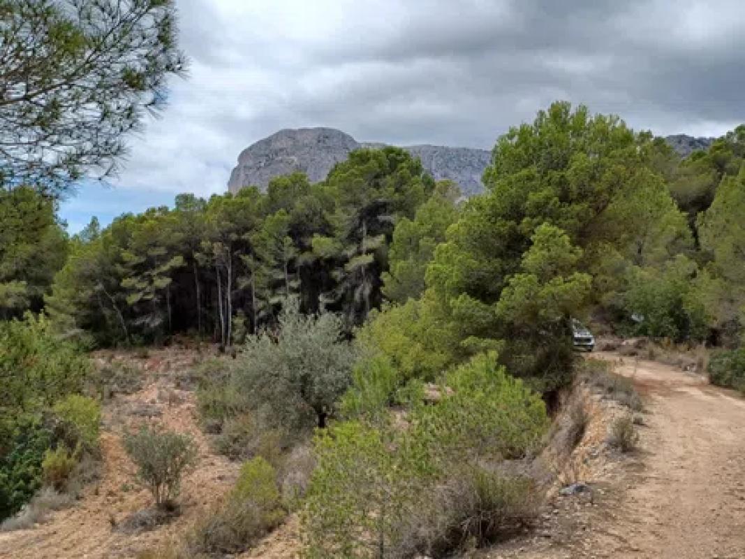 Działka na sprzedaż w Polop, Alicante photo 4