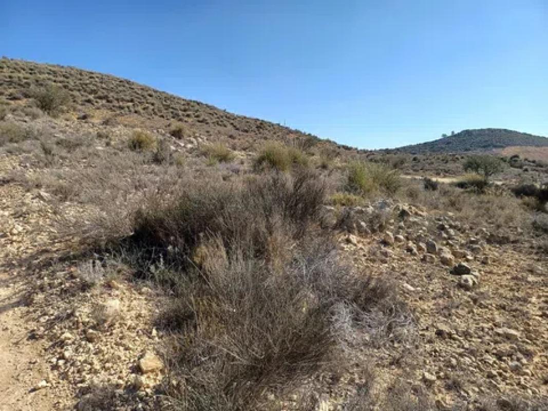 Terreno en venta en Pinoso, Alicante photo 1