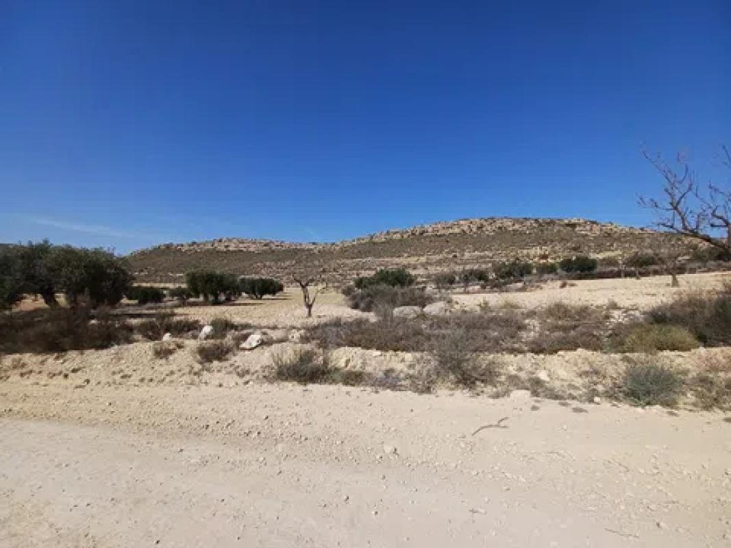 Terreno en venta en Pinoso, Alicante photo 2