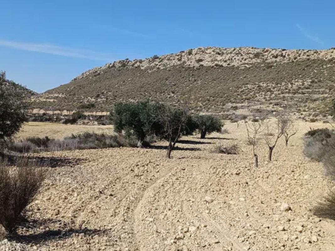 Terreno en venta en Pinoso, Alicante photo 3