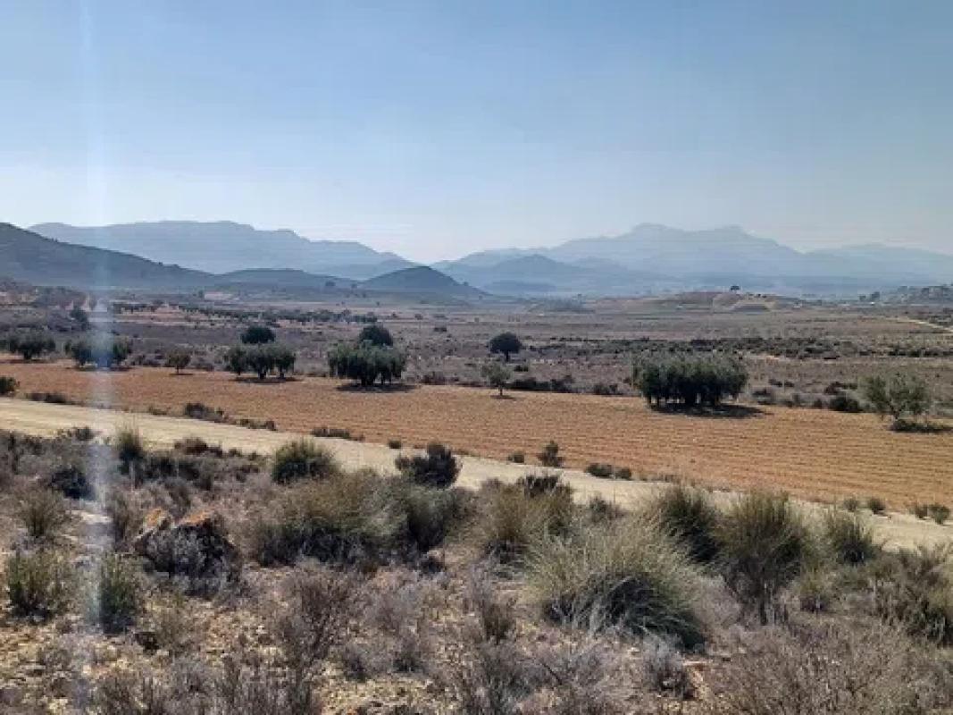 Terreno en venta en Pinoso, Alicante photo 4