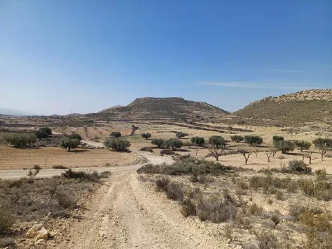 Terreno en venta en Pinoso, Alicante photo 5