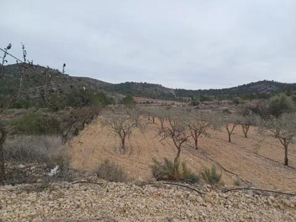 Terreno en La Romana thumbnail 2