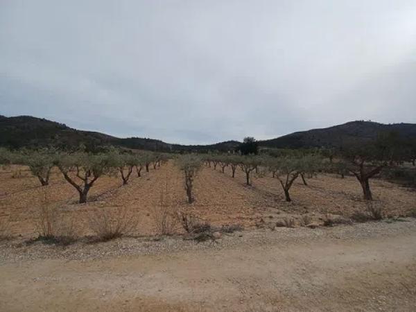 Terreno en La Romana photo 4