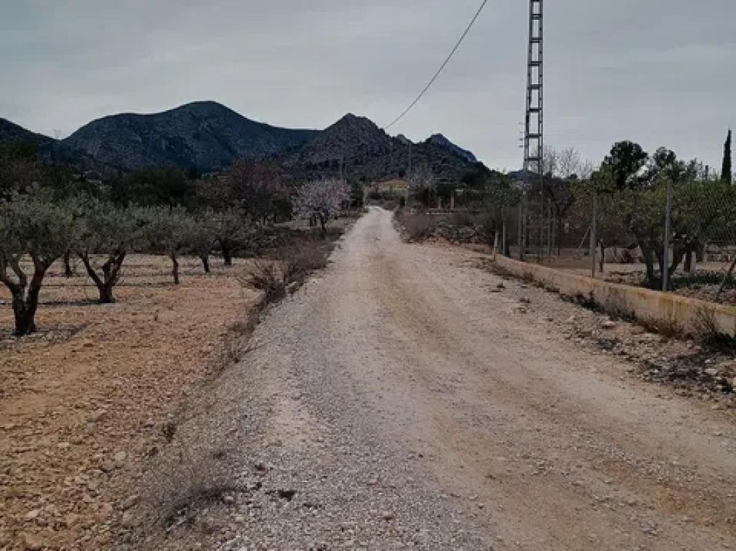 Land for sale in La Romana, Alicante photo 5