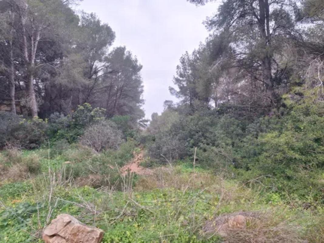 Terreno en venta en Jávea/Xàbia, Alicante photo 2