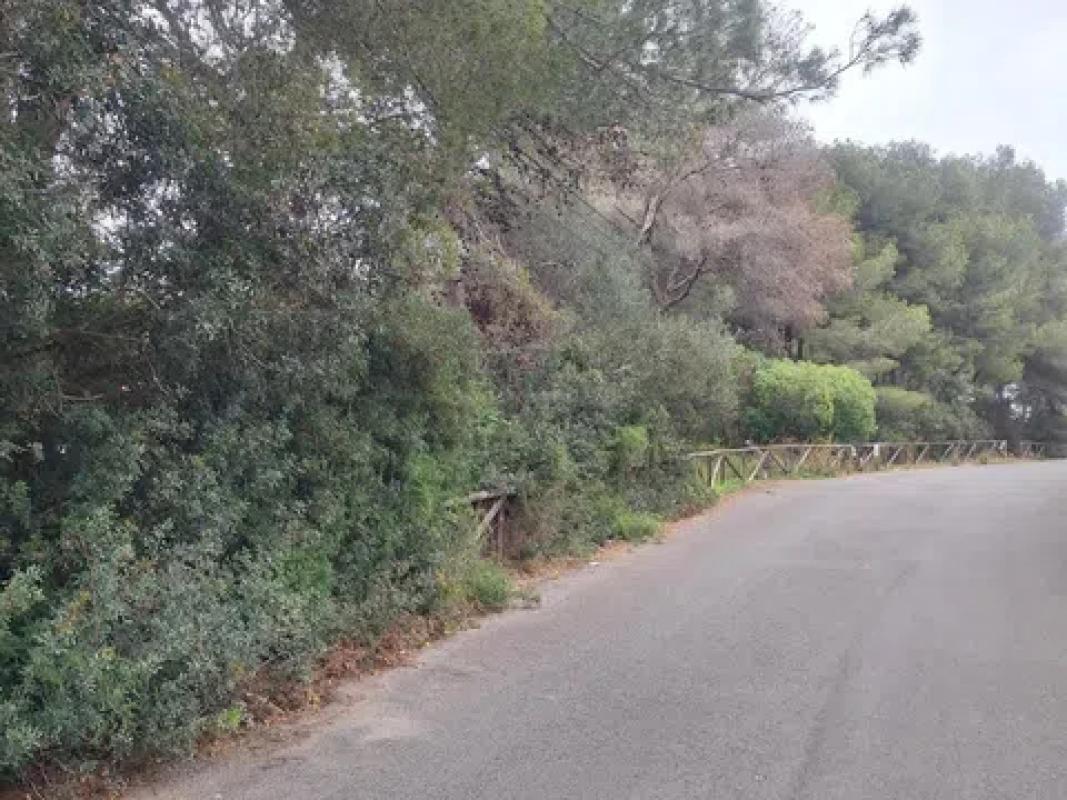 Terreno en venta en Jávea/Xàbia, Alicante photo 4